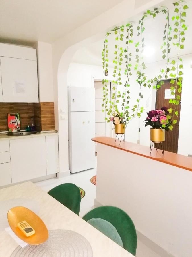 Apartament Near The Park Two Rooms Boekarest Buitenkant foto